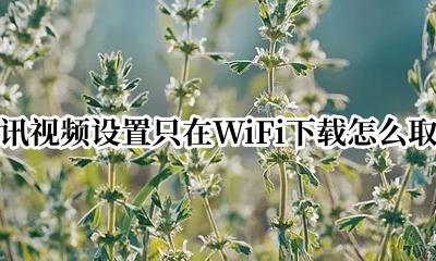 为什么腾讯视频wifi下载不了 腾讯视频设置只在WiFi下载怎么取消