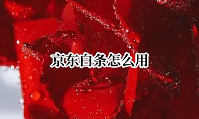 京东白条怎么用 怎么使用京东白条