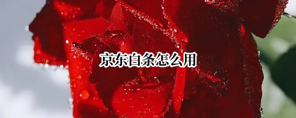 京东白条怎么用