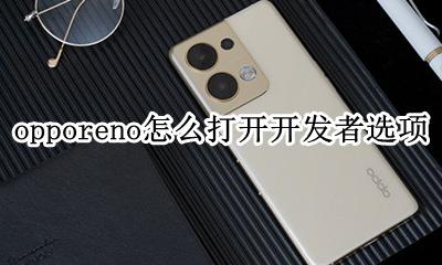 opporeno怎么打开开发者选项 opporeno开发者选项在哪里打开