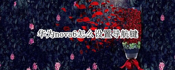 华为nova6怎么设置导航键