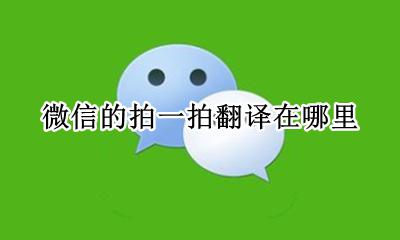 微信的拍一拍翻译在哪里 微信的拍一拍我是什么意思