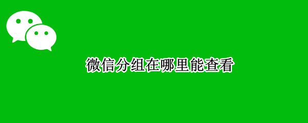 微信分组在哪里能查看