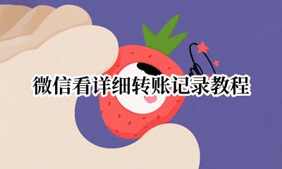 微信怎么查看转账记录 微信看详细转账记录教程