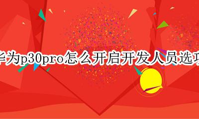 p30pro开发人员选项去哪里 华为p30pro怎么开启开发人员选项
