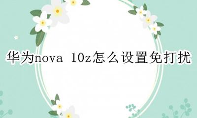 荣耀20pro免打扰模式在哪里 荣耀20pro怎么打开免打扰模式