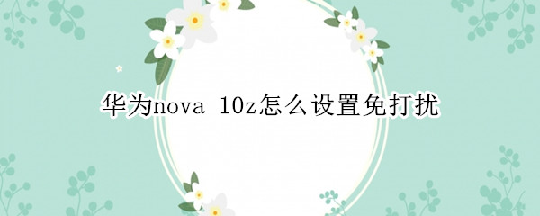荣耀20pro怎么打开免打扰模式