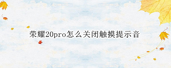 荣耀20pro怎么关闭触摸提示音