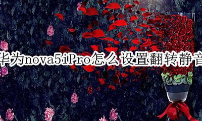 华为nova5ipro自动旋转 华为nova5iPro怎么设置翻转静音