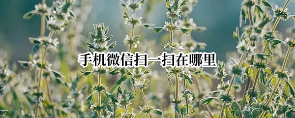 手机微信扫一扫在哪里