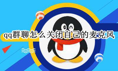 qq群聊怎么关闭自己的麦克风 微信群聊怎么关闭自己的麦克风