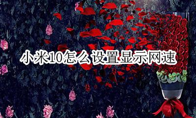 小米10怎么设置显示网速 小米10如何设置显示网速