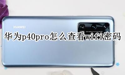 华为p40pro怎么查看wifi密码 华为mate40pro查看wifi密码