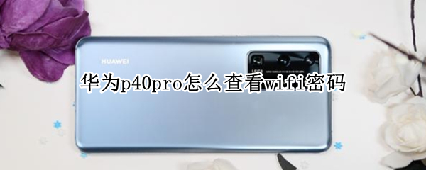 华为p40pro怎么查看wifi密码