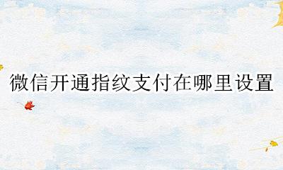 微信 指纹支付哪里设置 微信开通指纹支付在哪里设置