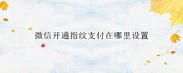 微信开通指纹支付在哪里设置