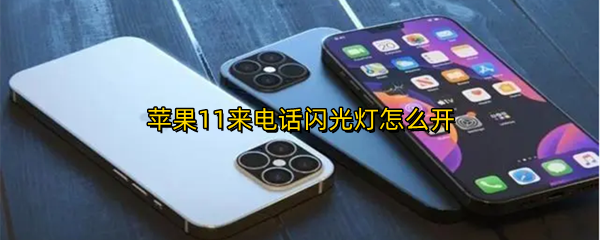 苹果11来电话闪光灯怎么开