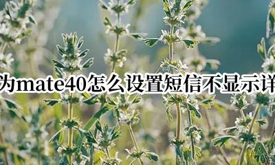 华为mate40怎么设置短信不显示详询 华为mate40如何隐藏短信内容