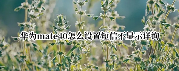 华为mate40怎么设置短信不显示详询