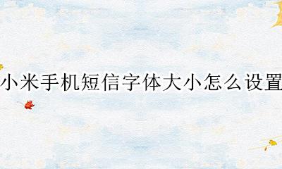 小米手机短信字体大小怎么设置 oppo手机短信字体大小怎么设置