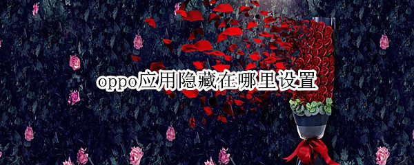 oppo应用隐藏在哪里设置