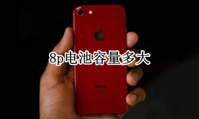8p电池容量多大 哪款手机电池容量最大