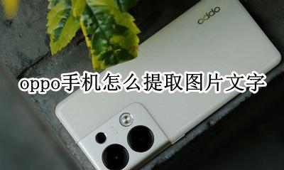 手机图片文字提取 oppo手机怎么提取图片文字