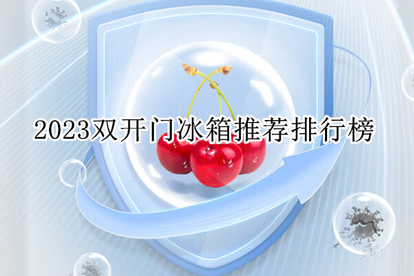 2023双开门冰箱推荐排行榜