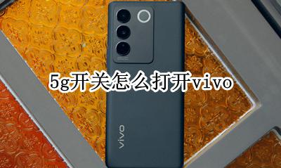 5g开关怎么打开vivo 怎么使用5g
