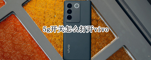 5g开关怎么打开vivo