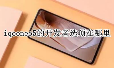 iQOOneo5开发者选项 iqooneo5的开发者选项在哪里