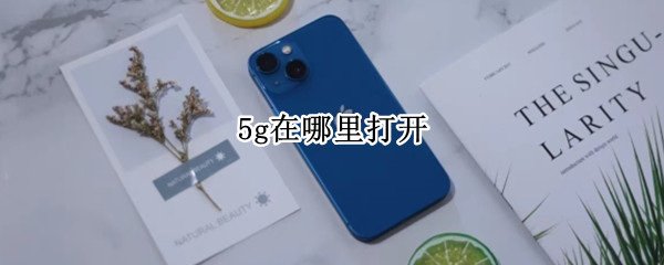 5g在哪里打开