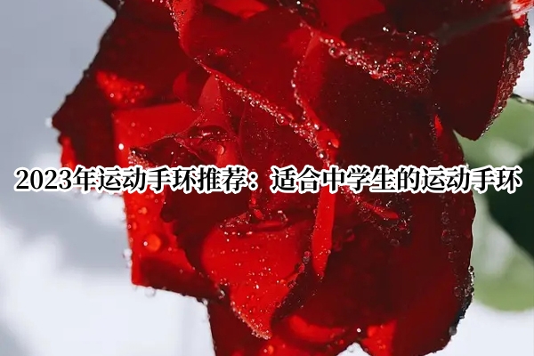 2023年运动手环推荐