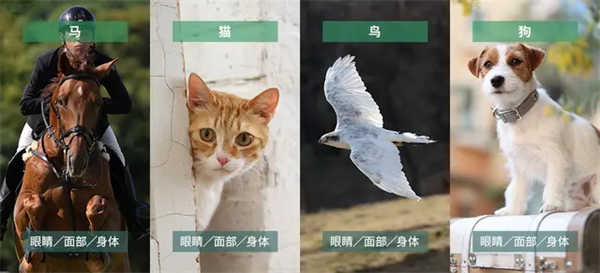 2023年全画幅相机推荐