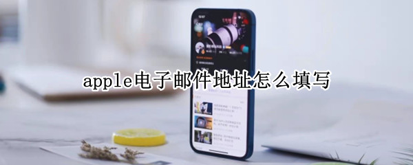 apple电子邮件地址怎么填写