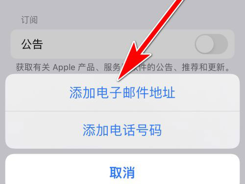 apple电子邮件地址怎么填写