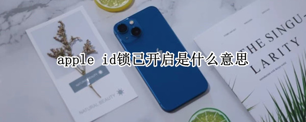 apple id锁已开启是什么意思