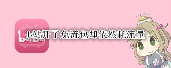 b站开了免流包却依然耗流量