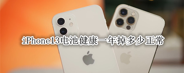 iPhone13电池健康一年掉多少正常