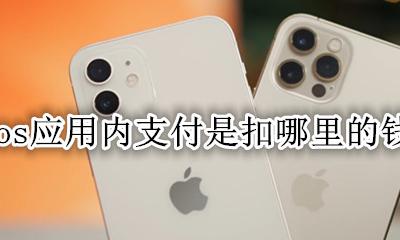 ios扣钱在哪里 ios应用内支付是扣哪里的钱