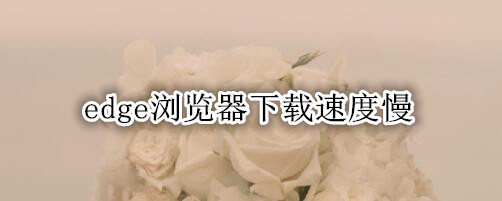 edge浏览器下载速度慢