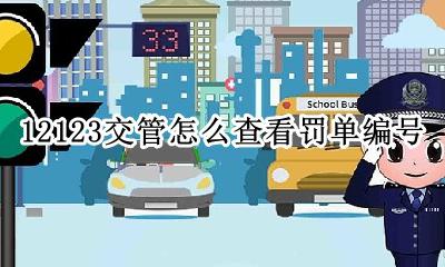 交警12123违章查询网 12123交管怎么查看罚单编号