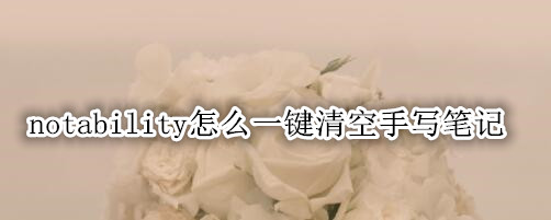 notability怎么一键清空手写笔记