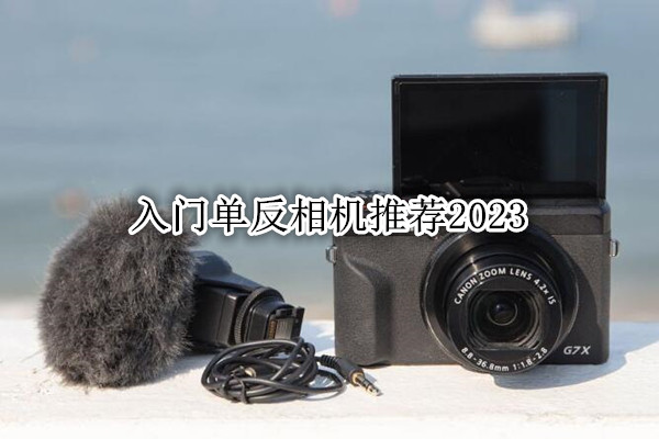 入门单反相机推荐2023
