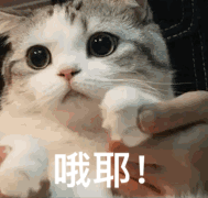 mc代码怎么用