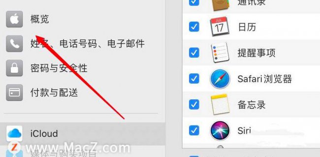 mac怎么退出apple