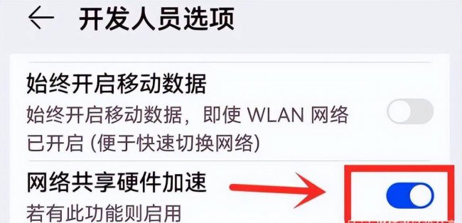 手机wifi已连接不可上网什么原因