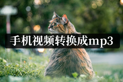 手机如何传视频到mp3 教你视频文件转换技巧