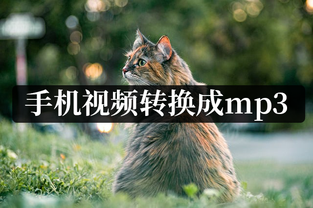 手机如何传视频到mp3