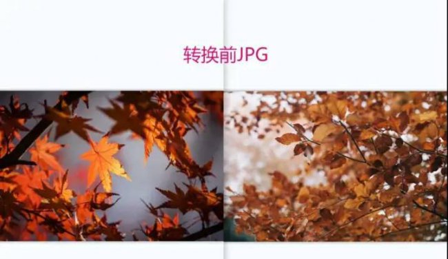 电脑jpg怎么转换成pdf